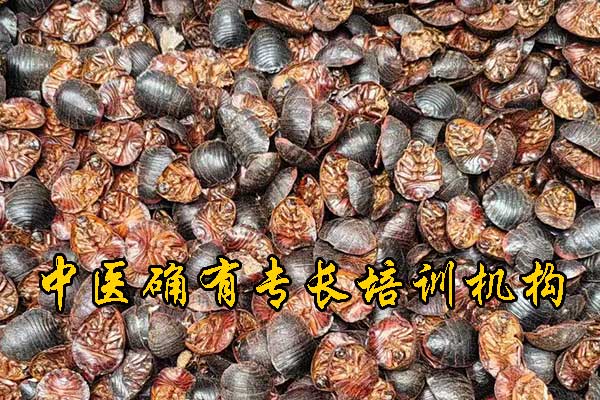 未标题-1.jpg