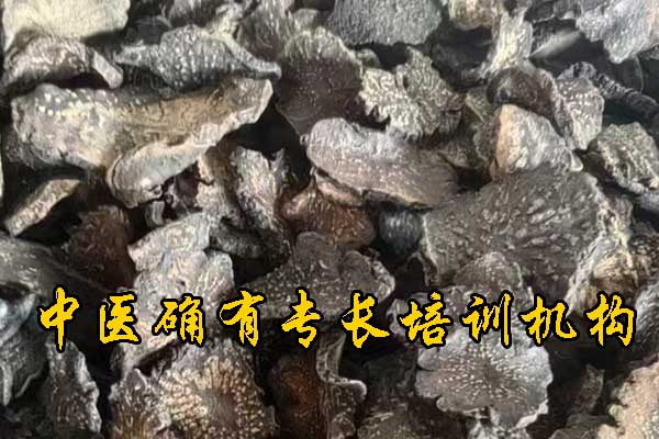 未标题-1.jpg