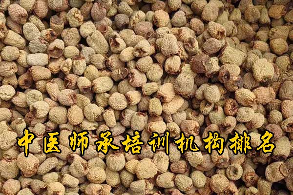 宜昌中医师承班招生简章（零基础传统师承班）