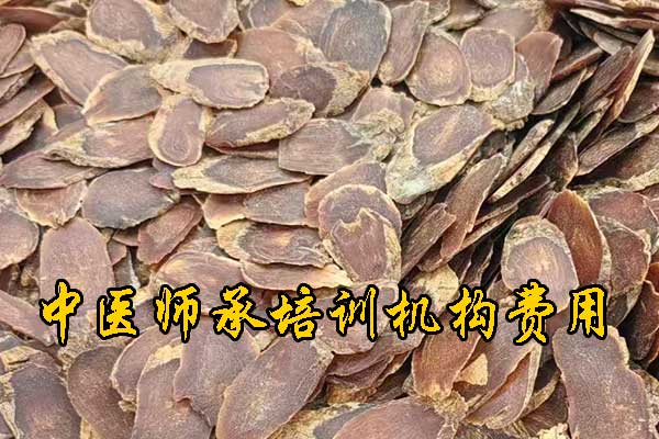 衡阳中医师承班招生简章（零基础传统师承班）