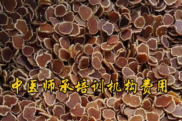 舟山中医师承班招生简章（零基础传统师承班）