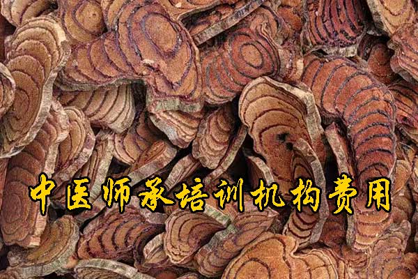 阜阳中医师承班招生简章（零基础传统师承班）
