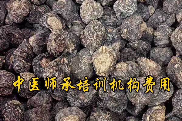 南阳中医师承班招生简章（零基础传统师承班）