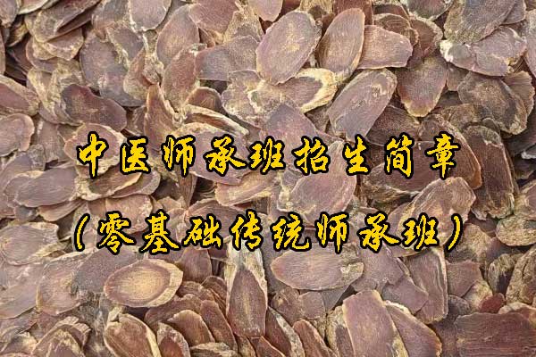 梅州中医师承班招生简章（零基础传统师承班）