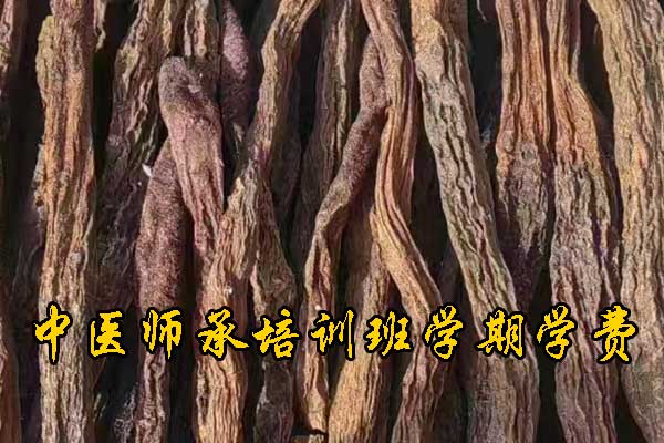 未标题-1.jpg