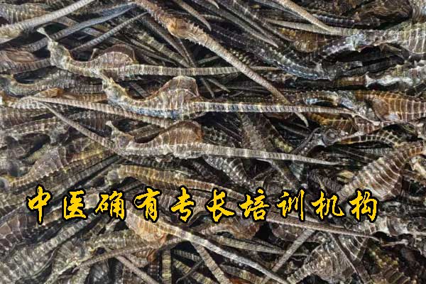 未标题-1.jpg