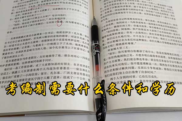 安庆考编制需要什么条件和学历