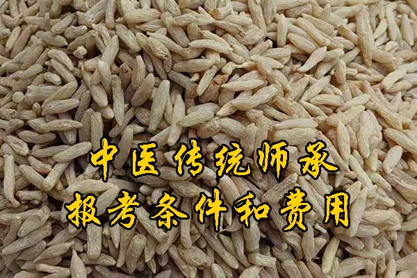 福建中医师承报名资质及老师要求