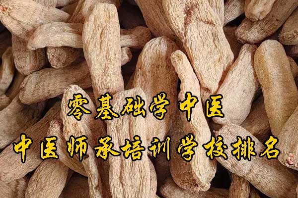 甘肃中医师承报考条件和费用