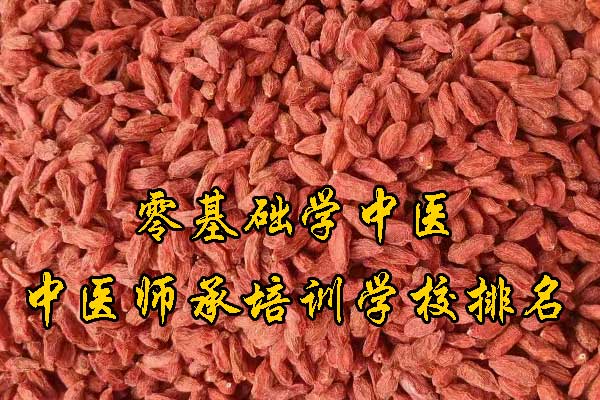 陕西中医师承报名资质及老师要求