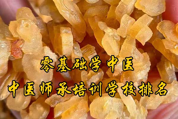 贵州中医师承报考条件和费用