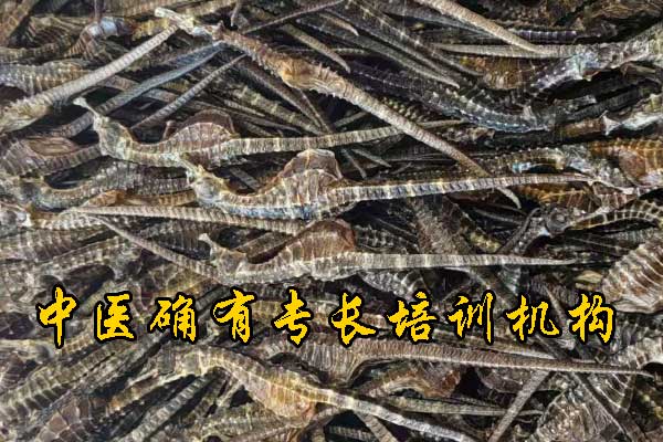 未标题-1-恢复的.jpg