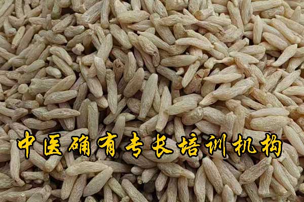 未标题-1-恢复的.jpg