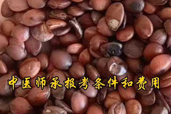 未标题-1.jpg