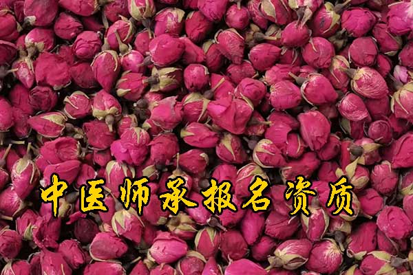 宁波报考中医师承需要什么条件