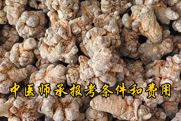 嘉兴参加中医师承考试要什么条件