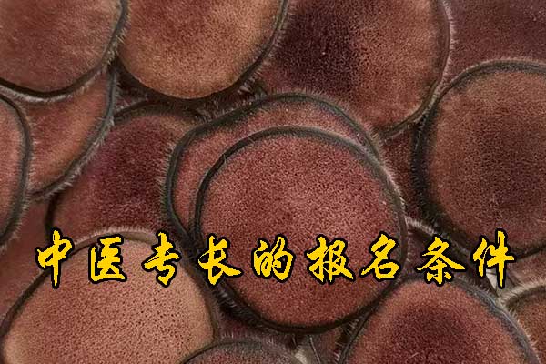未标题-1.jpg