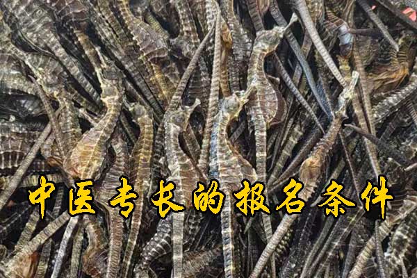 安徽中医专长证报名条件有哪些