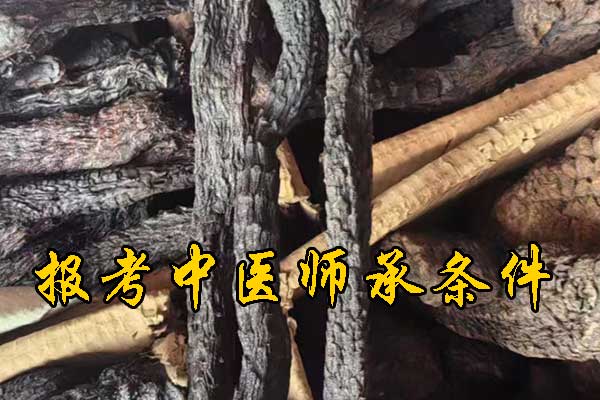 上饶中医师承报名资质及老师要求