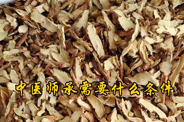 绵阳中医师承报名资质及老师要求