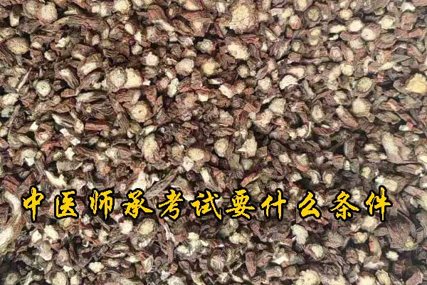 衡阳报考中医师承需要什么条件