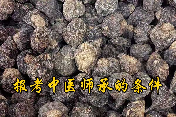 沧州中医师承报名资质及老师要求