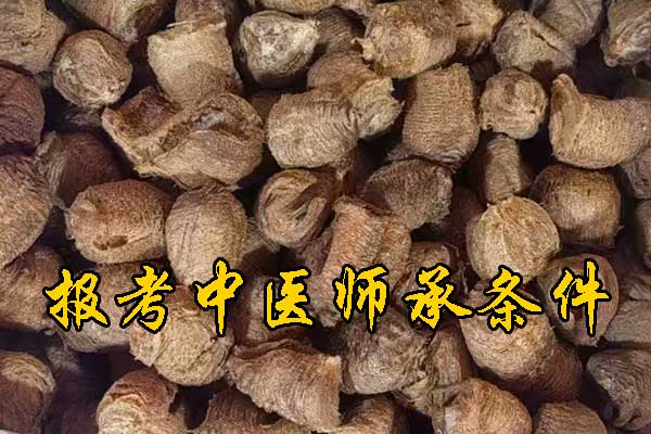 梅州中医师承报名资质及老师要求