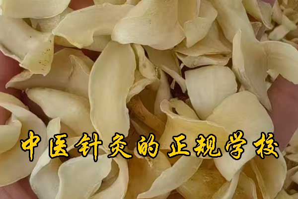 天津有没有专门学中医的学校