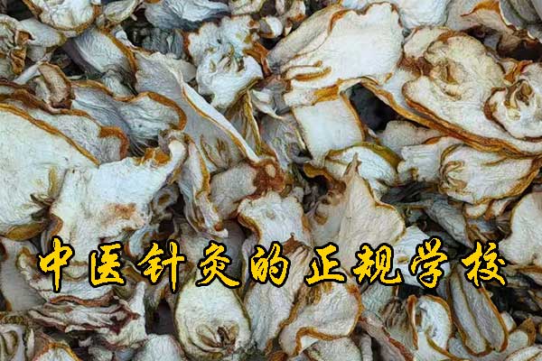 重庆哪有学中医的学校