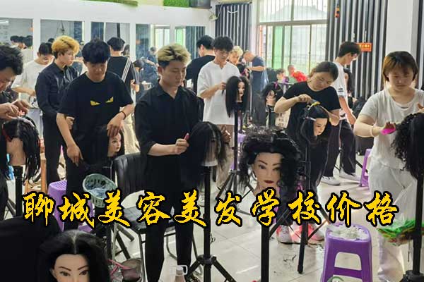 聊城美容美发学校有几所？