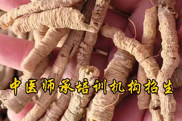 浙江学中医针灸的正规学校