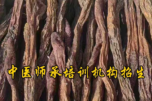 辽宁有没有专门学中医的学校