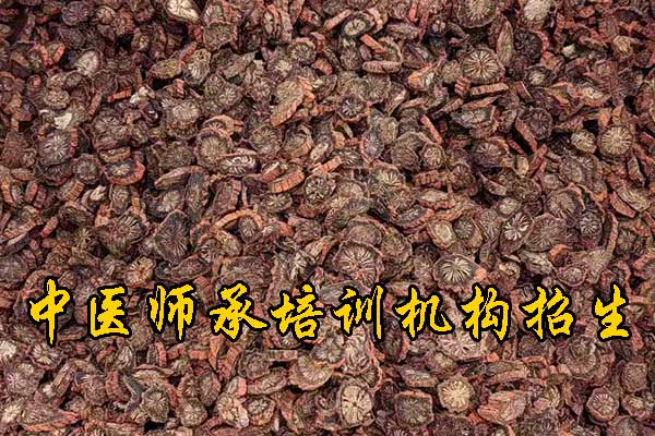 河南成人中医培训班