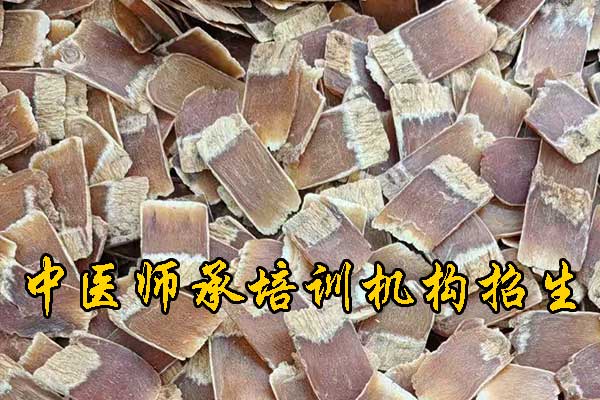 江西哪有学中医的学校