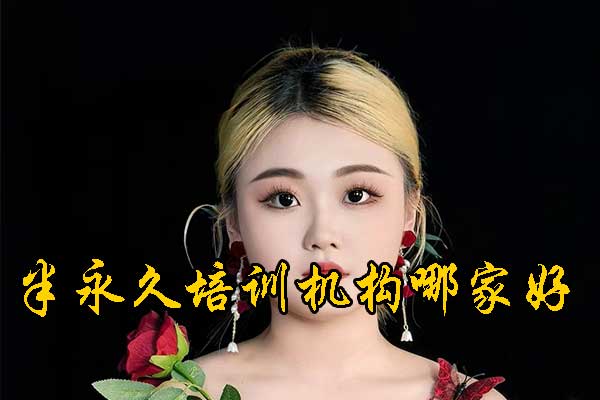 哈尔滨半永久培训学校排名