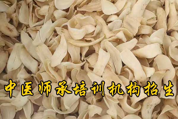 宁波哪有学中医的学校？哪家正规？