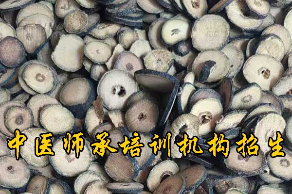 乌鲁木齐哪有学中医的学校