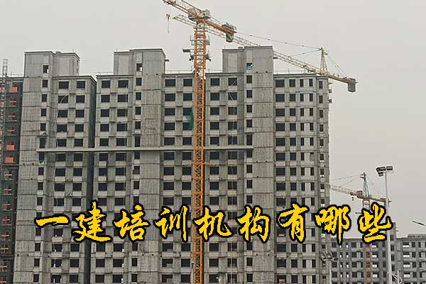 漳州一建培训机构有哪些？排名前十？