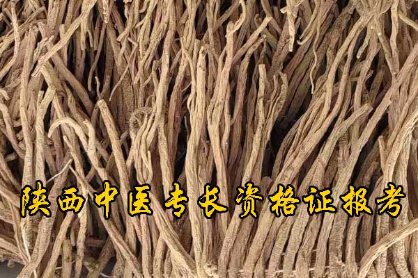 陕西中医专长资格证报考条件有哪些