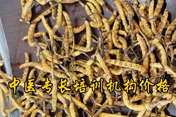 杭州中医专长报名网址