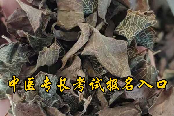 武汉确有专长报名入口及报名网址