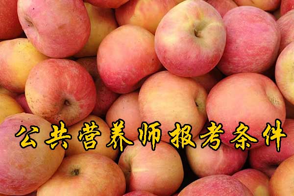 天津公共营养师报名需要什么条件