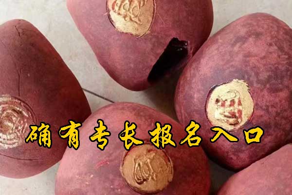 昆明中医专长报名入口及报名网址APP