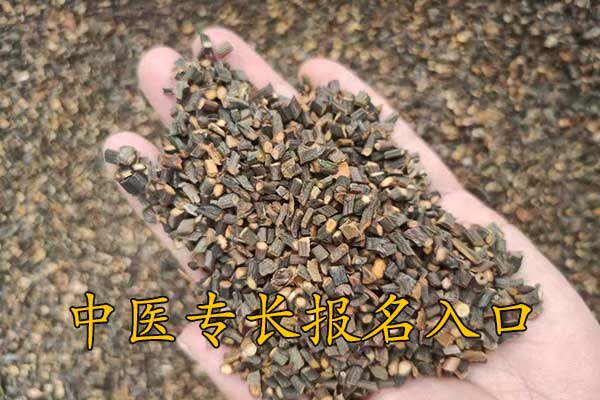 银川中医专长报名入口及报名网址