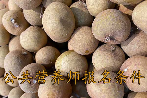 新疆公共营养师报名需要什么条件