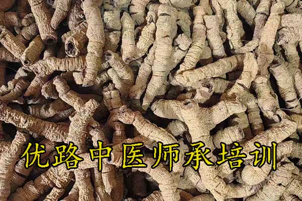 优路中医师承可以只拜师不上课吗