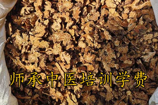 太原师承中医培训多少钱