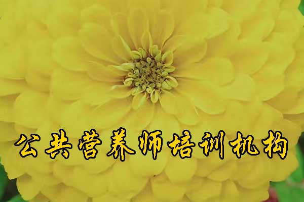 济南公共营养师培训报名培训费用