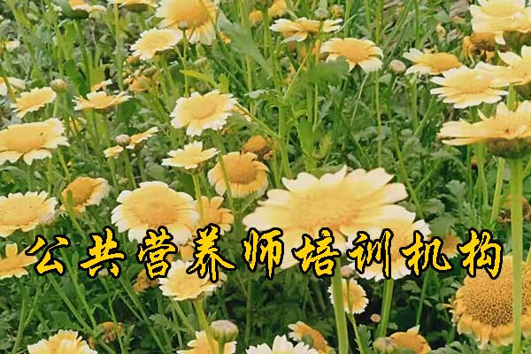 南京公共营养师培训需要多少钱