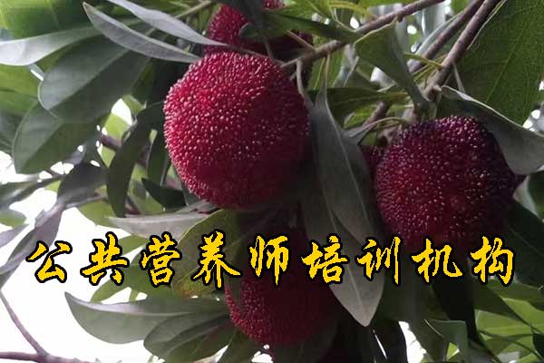 杭州公共营养师培训哪家好